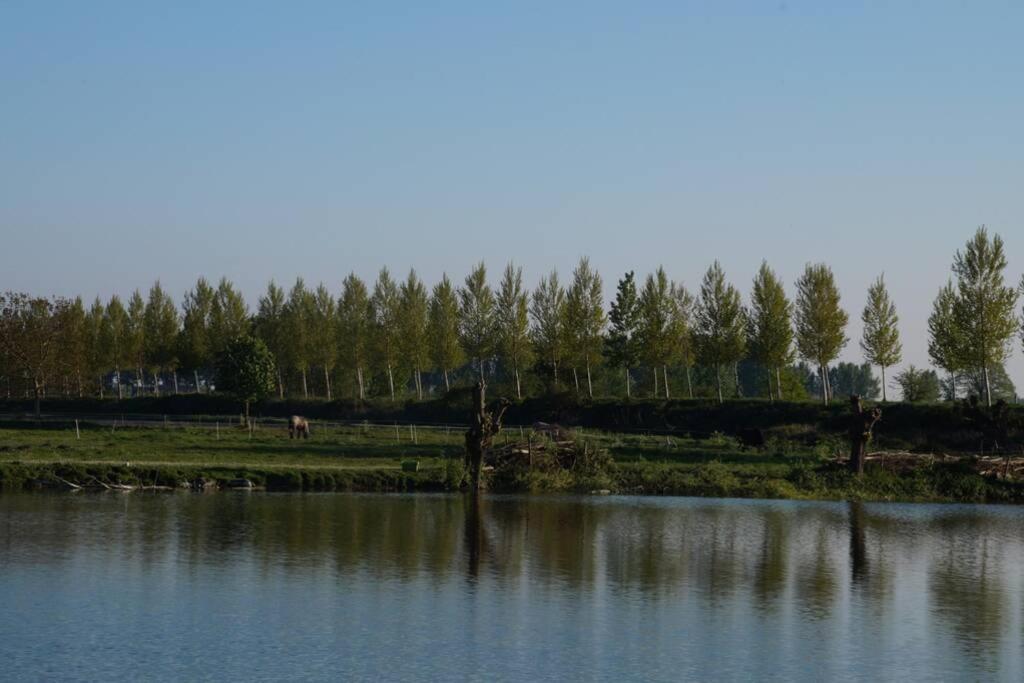Vakantiewoning Het Olietunnetje Ovezande Экстерьер фото