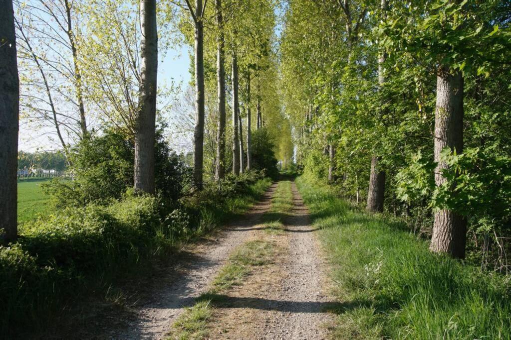 Vakantiewoning Het Olietunnetje Ovezande Экстерьер фото