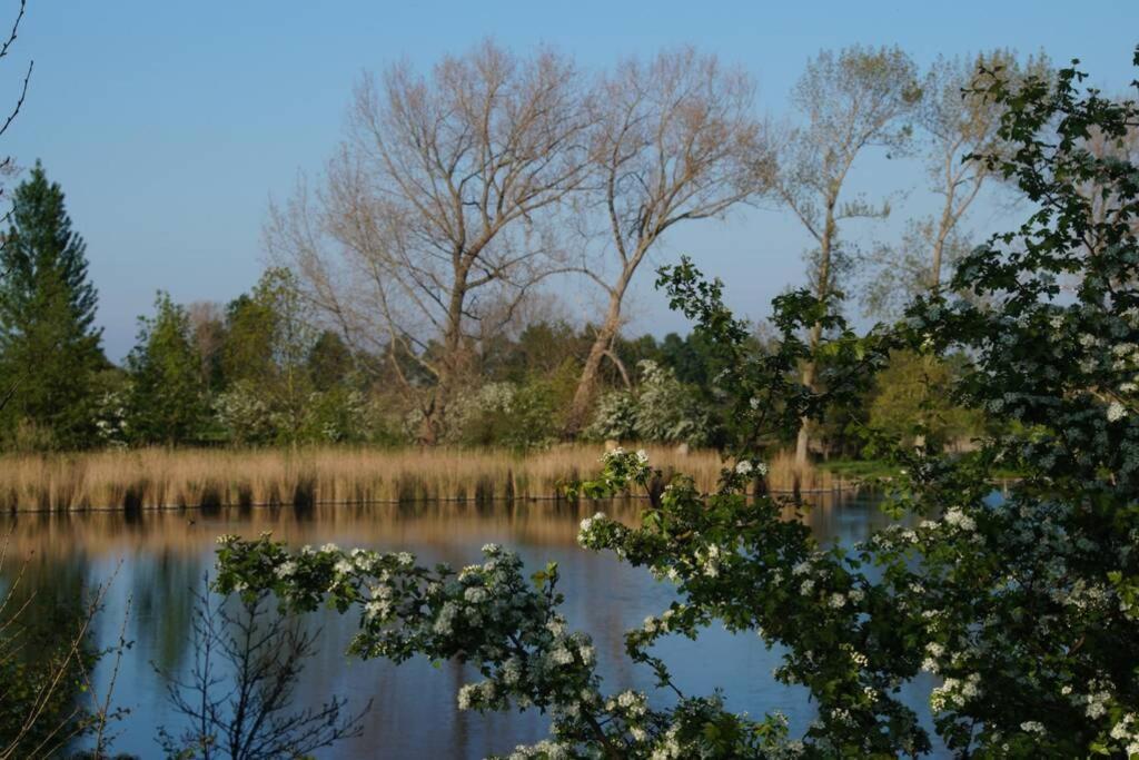 Vakantiewoning Het Olietunnetje Ovezande Экстерьер фото