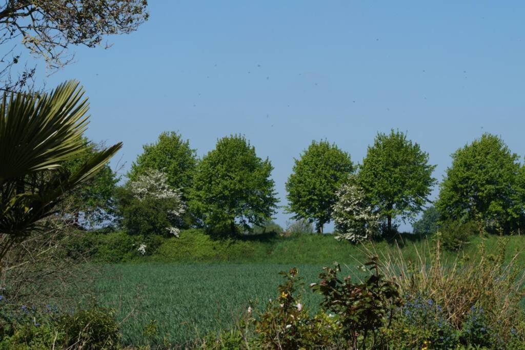 Vakantiewoning Het Olietunnetje Ovezande Экстерьер фото